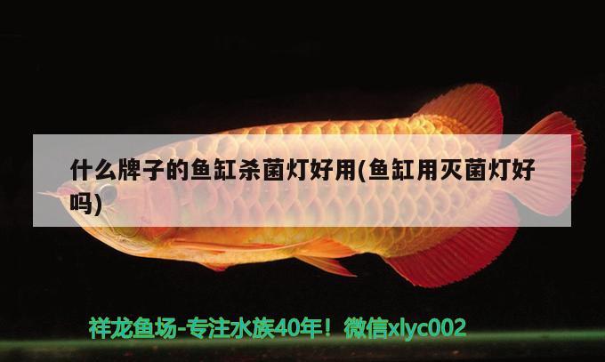台州水族馆混养第三个月基本和谐