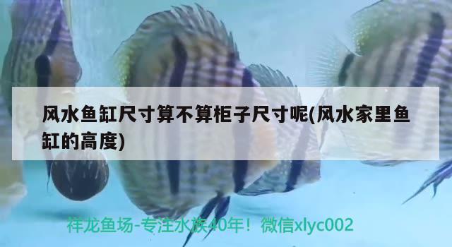 郑州金龙鱼厂招聘信息电话号码（全球粮油企业排名） 野彩鱼 第2张