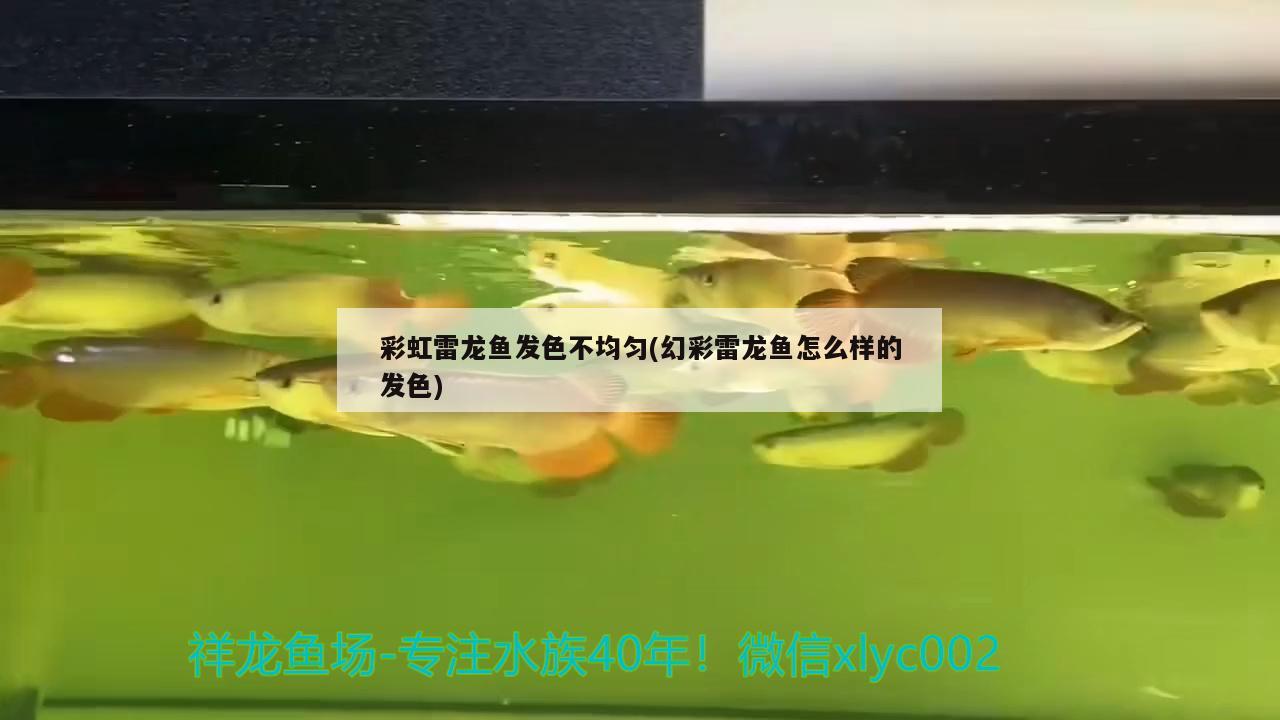 惠州市仲恺高新区休贤观赏鱼店 全国水族馆企业名录 第2张