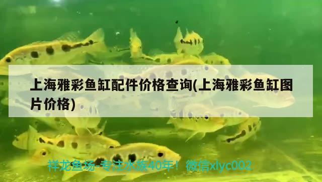 上海雅彩鱼缸配件价格查询(上海雅彩鱼缸图片价格)