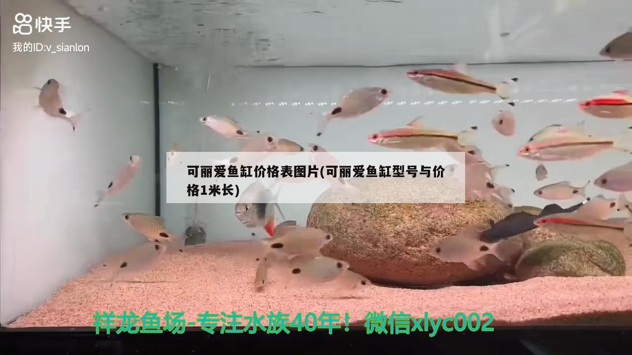 可丽爱鱼缸价格表图片(可丽爱鱼缸型号与价格1米长) 梦幻雷龙鱼