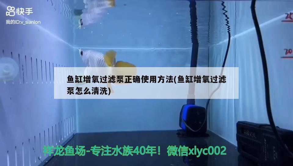 鱼缸增氧泵安装示意图视频讲解(鱼缸增氧泵安装示意图视频讲解教程)