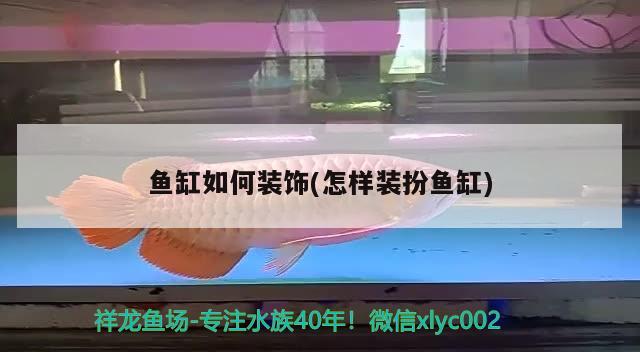 鱼缸led灯蓝色是紫外线吗：鱼缸用的led灯是蓝色有什么好处 广州水族批发市场 第1张
