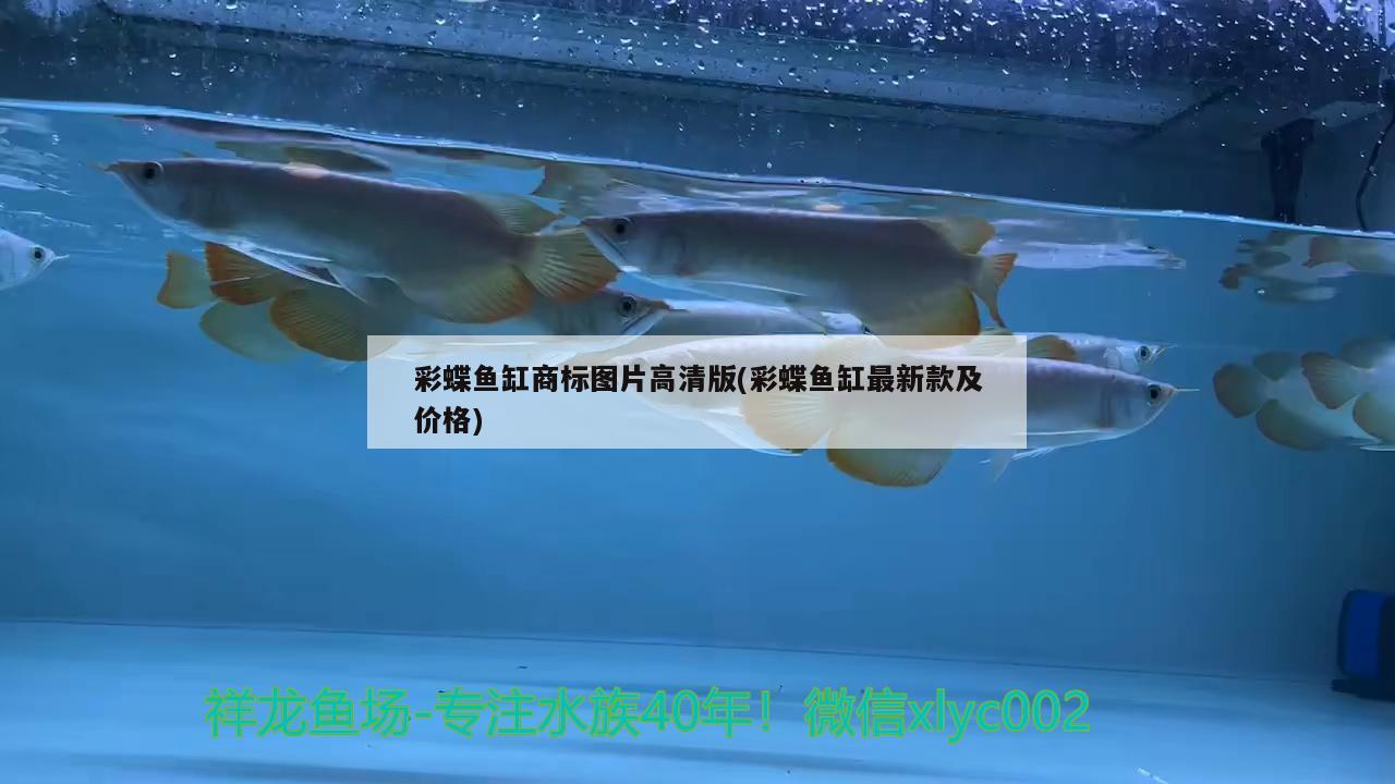 彩蝶鱼缸商标图片高清版(彩蝶鱼缸最新款及价格) 虎鱼鱼苗