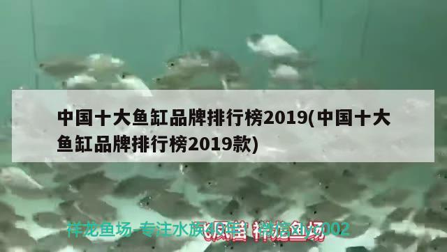 中国十大鱼缸品牌排行榜2019(中国十大鱼缸品牌排行榜2019款)
