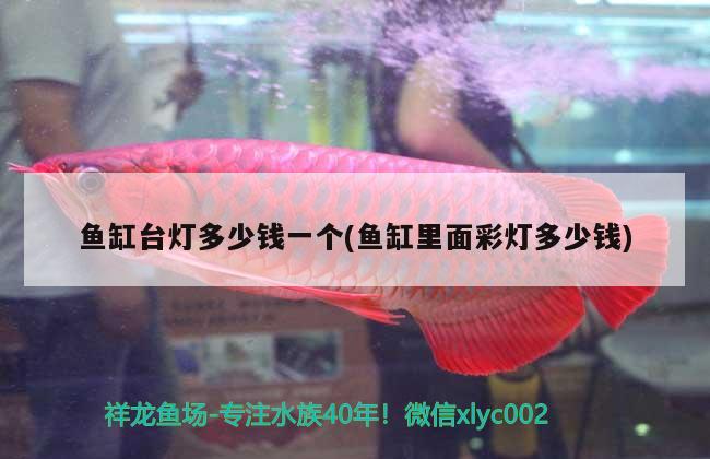 杭州鱼缸回收厂家电话多少号（国内最牛逼鱼缸） 观赏鱼企业目录 第2张