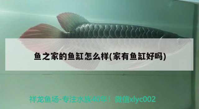 广元鱼缸订做（绵阳鱼缸订做） 广州水族器材滤材批发市场 第2张