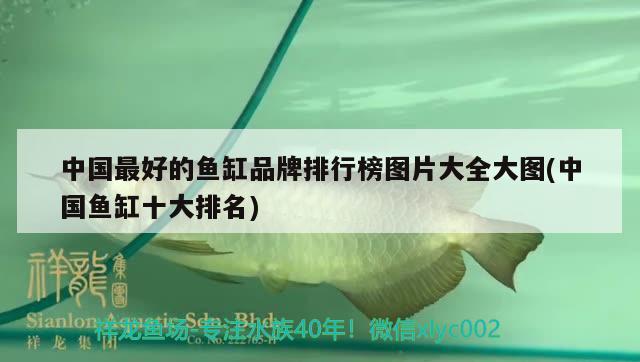 中国最好的鱼缸品牌排行榜图片大全大图(中国鱼缸十大排名)