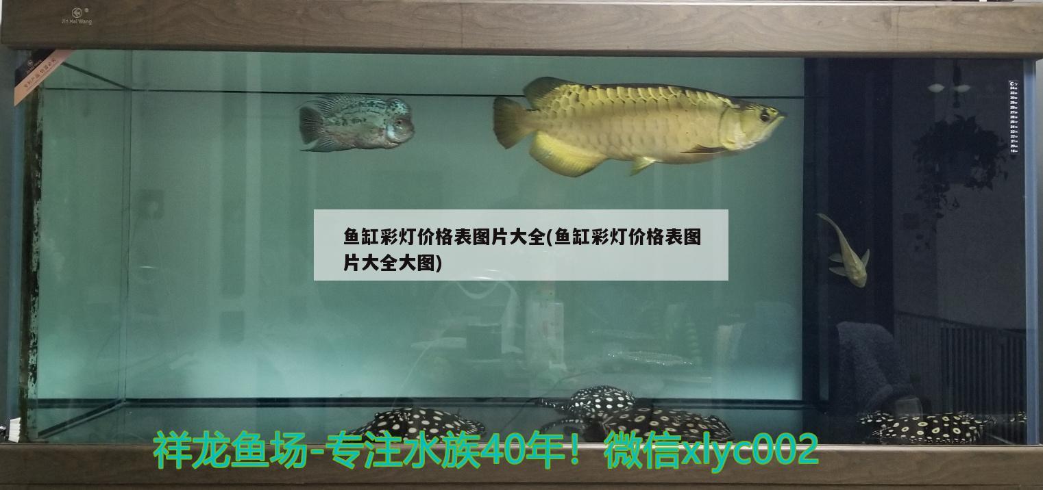 鱼缸彩灯价格表图片大全(鱼缸彩灯价格表图片大全大图) 野生埃及神仙鱼