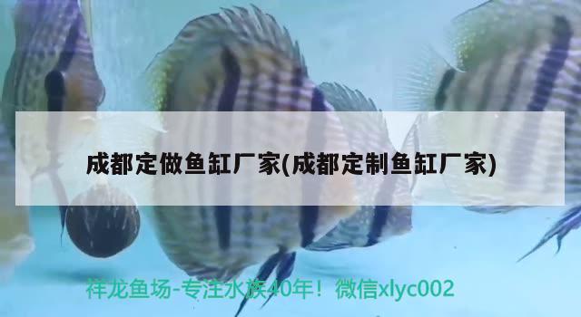 东兴市湖边水族店 全国水族馆企业名录 第1张