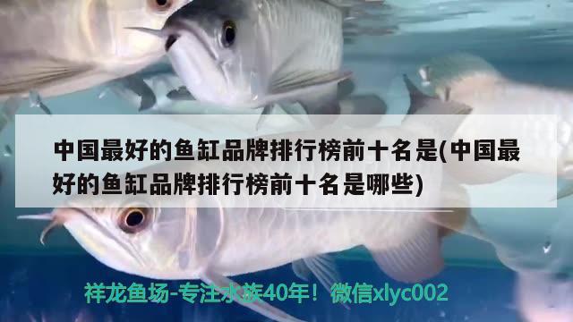 中国最好的鱼缸品牌排行榜前十名是(中国最好的鱼缸品牌排行榜前十名是哪些)