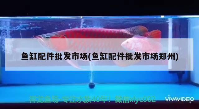 鱼缸配件批发市场(鱼缸配件批发市场郑州) 海象鱼