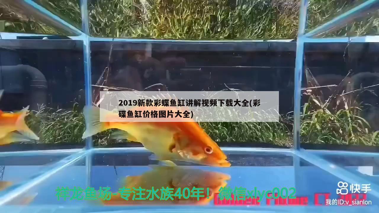 2019新款彩蝶鱼缸讲解视频下载大全(彩碟鱼缸价格图片大全)