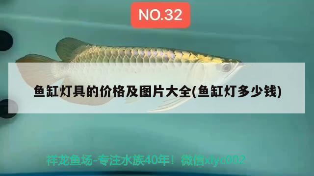 锦州水族批发市场地址电话是多少呀（锦州水产市场在哪） 养鱼知识 第1张
