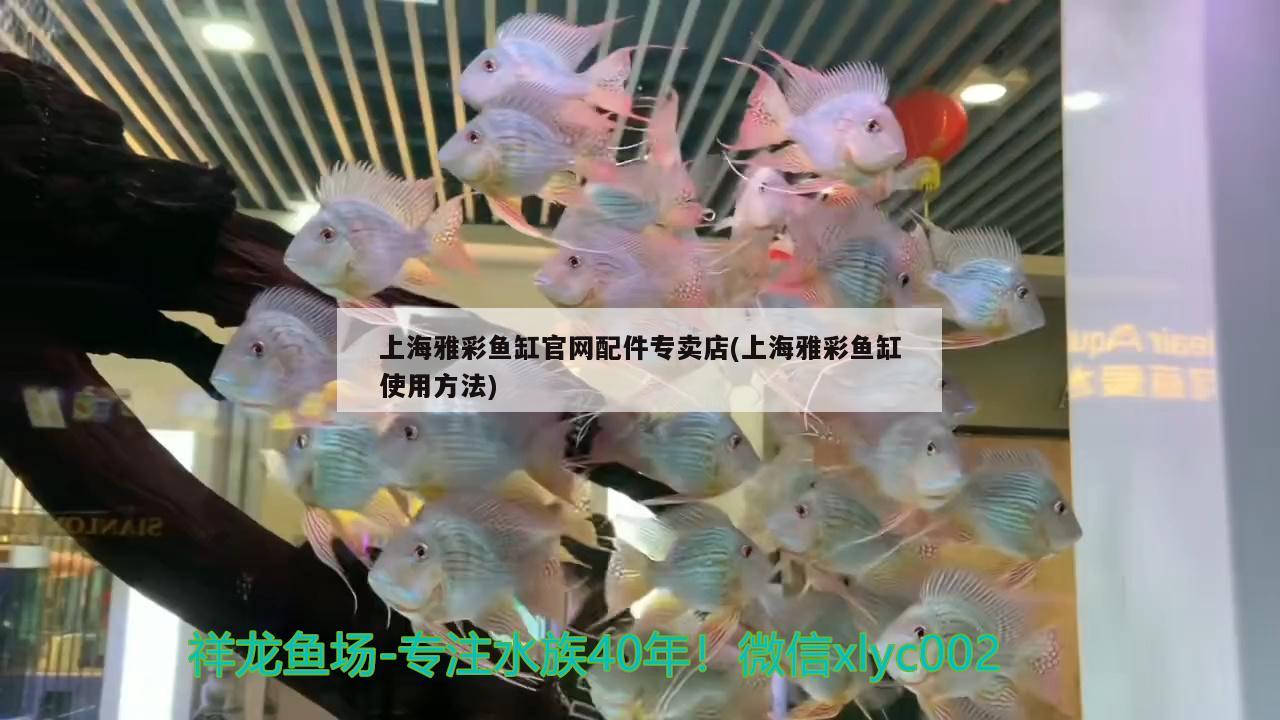 三门峡水族馆萌萌哒 观赏虾蟹等饲料 第2张