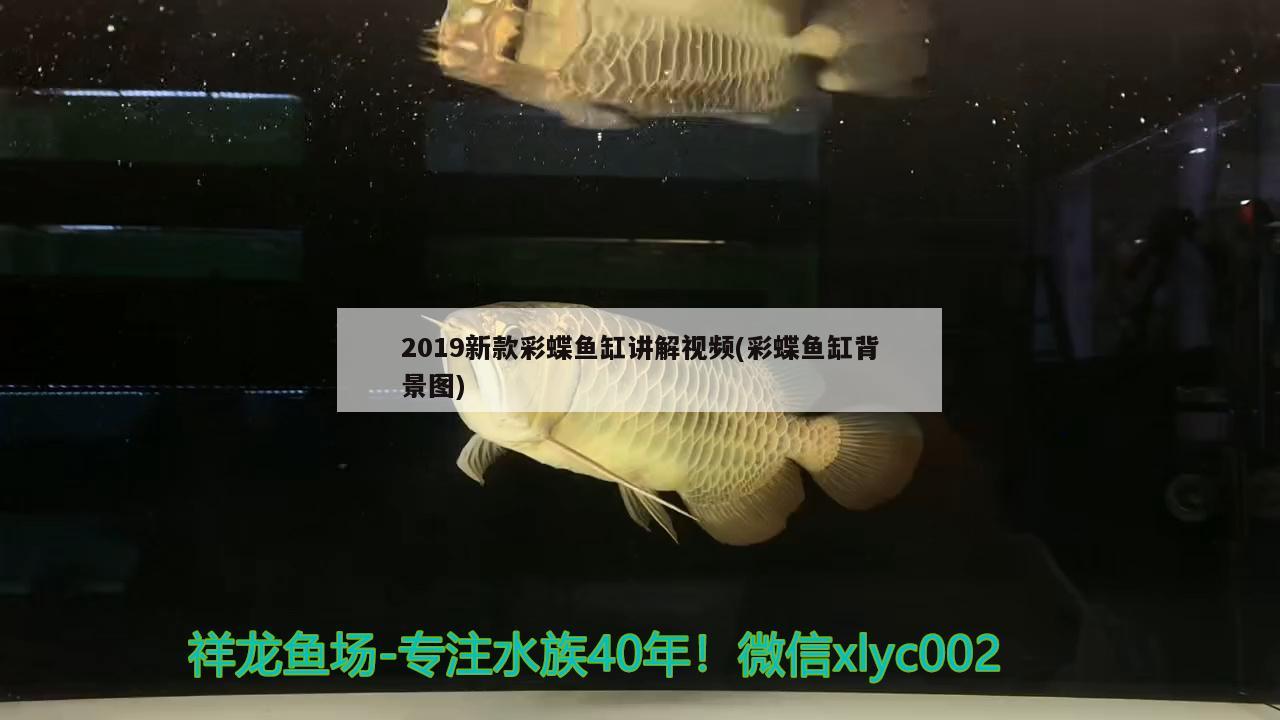 2019新款彩蝶鱼缸讲解视频(彩蝶鱼缸背景图)