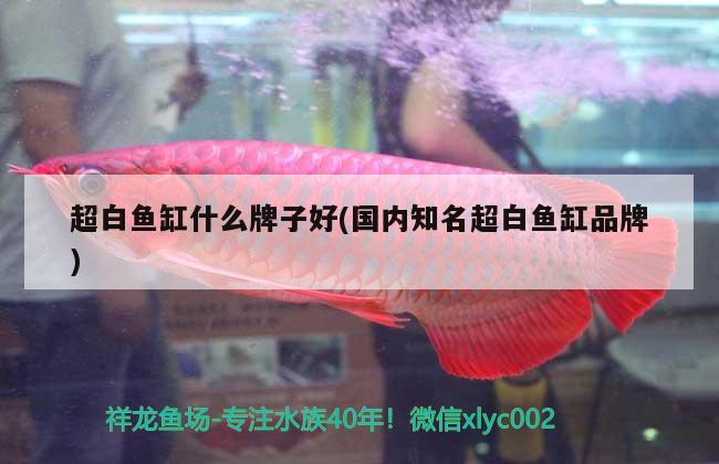 慈利县懒人鱼水族馆