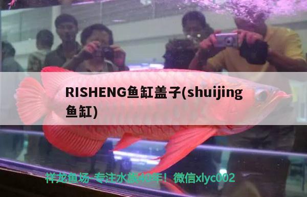 RISHENG鱼缸盖子(shuijing鱼缸) 翡翠凤凰鱼