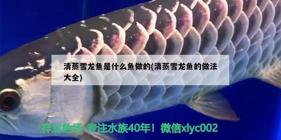 萍乡哪里有鱼缸卖的地方啊图片（萍乡哪里有鱼缸卖的地方啊图片及价格） 观赏鱼 第1张