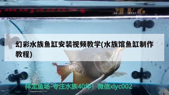 幻彩水族鱼缸安装视频教学(水族馆鱼缸制作教程)