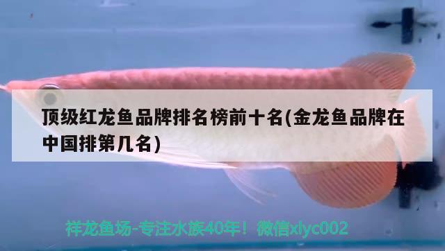 顶级红龙鱼品牌排名榜前十名(金龙鱼品牌在中国排第几名) 朱巴利鱼