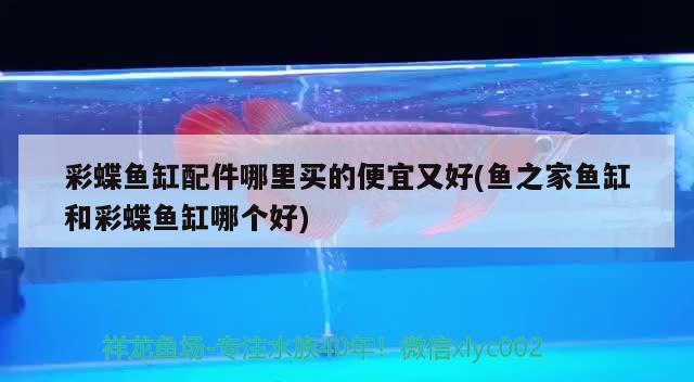 请教潜水灯最佳位置 广州龙鱼批发市场 第2张