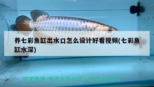 阿坝藏族羌族自治州哪里有水族馆（阿坝州的鱼是什么鱼）