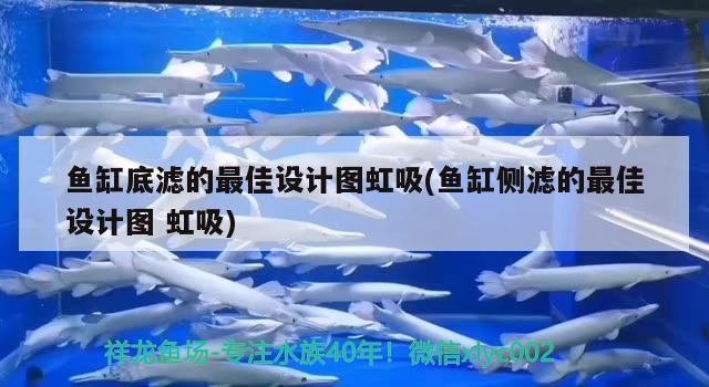 天津观赏鱼养殖基地地址和天津市观赏鱼对应的相关信息，天津最大的观赏鱼养殖基地在哪里？