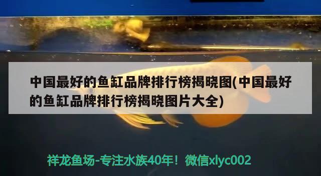 中国最好的鱼缸品牌排行榜揭晓图(中国最好的鱼缸品牌排行榜揭晓图片大全)