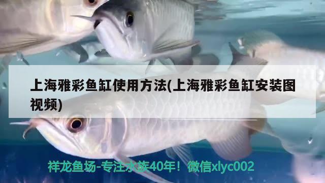 上海雅彩鱼缸使用方法(上海雅彩鱼缸安装图视频)