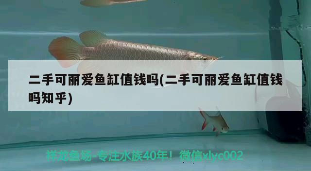 苏州观赏鱼养殖基地电话 苏州 观赏鱼 养鱼的好处 第1张