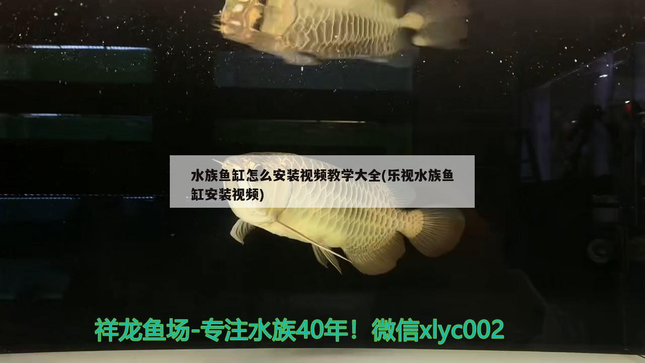 水族鱼缸怎么安装视频教学大全(乐视水族鱼缸安装视频)