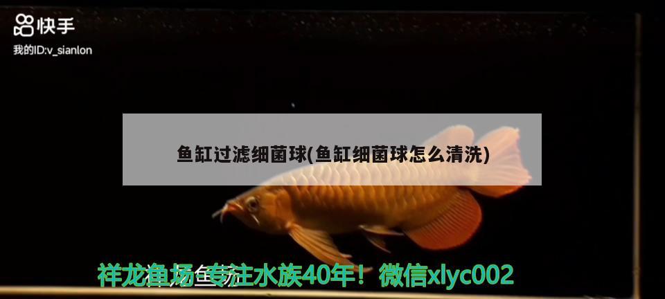 北京观赏鱼批发便宜的地方有哪些：北京观赏鱼批发便宜的地方有哪些店
