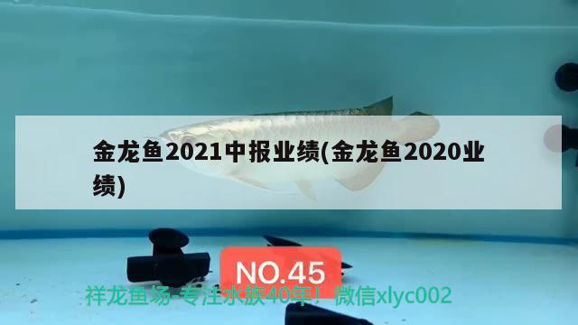 金龙鱼2021中报业绩(金龙鱼2020业绩)