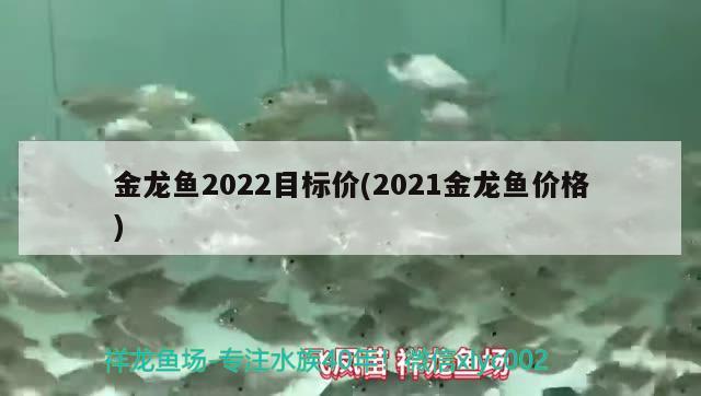 金龙鱼2022目标价(2021金龙鱼价格) 养鱼的好处