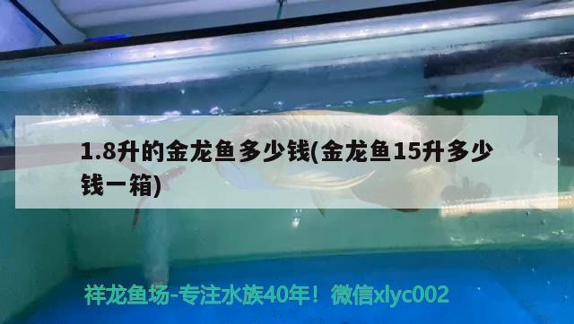 1.8升的金龙鱼多少钱(金龙鱼15升多少钱一箱) 白子黄化银龙鱼