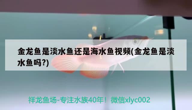 天王鱼缸灯怎么拆下来图解：天王鱼缸灯怎么拆下来图解视频 广州水族批发市场 第1张