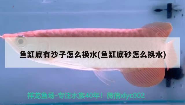 家用玻璃鱼缸怎么清洗视频：家用玻璃鱼缸怎么清洗视频教程 广州水族批发市场 第3张