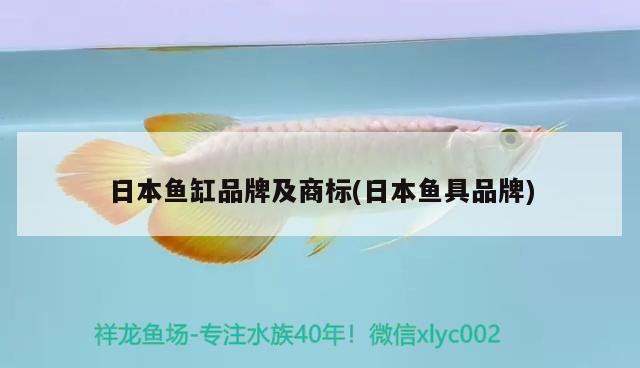 日本鱼缸品牌及商标(日本鱼具品牌)