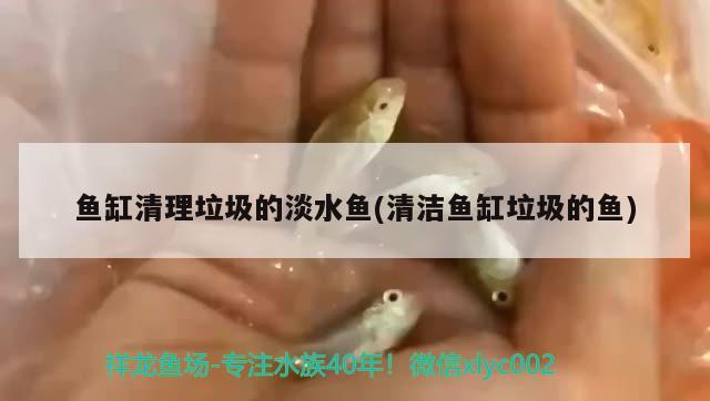 森森鱼缸灯卡子安装方法（鱼缸灯管卡扣安装视频） 广州水族器材滤材批发市场