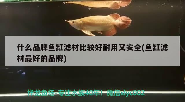 潍坊高新区鱼缸维修电话地址是多少号：潍坊高新区鱼缸维修电话地址是多少号呀