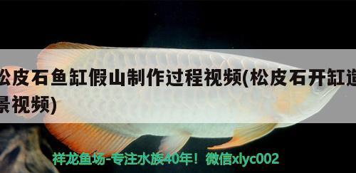松皮石鱼缸假山制作过程视频(松皮石开缸造景视频) 广州祥龙国际水族贸易