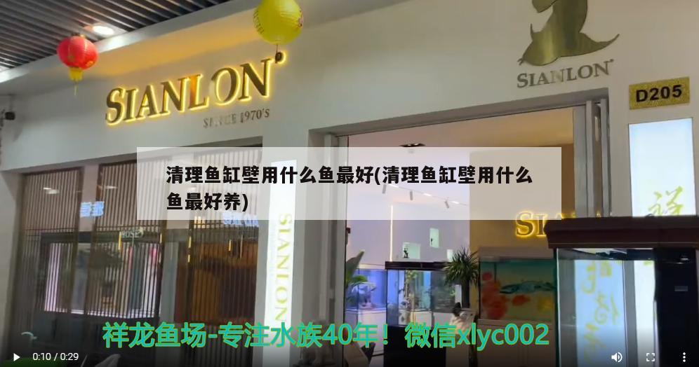西安市阎良区龙彩水族店 全国水族馆企业名录 第2张