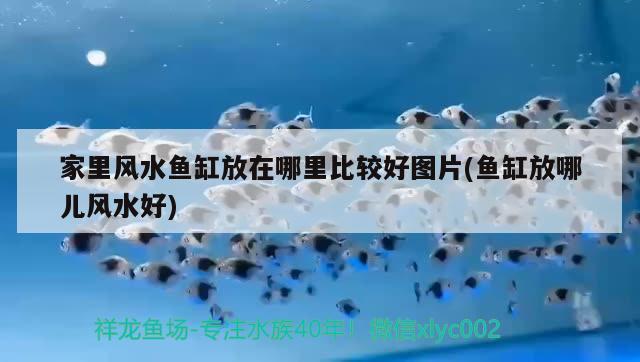 云南省共有几个州市县，乐山银行泸州分行在哪儿 养鱼的好处 第1张