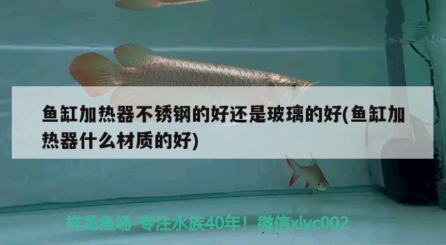 鱼缸加热器不锈钢的好还是玻璃的好(鱼缸加热器什么材质的好) 广州水族器材滤材批发市场