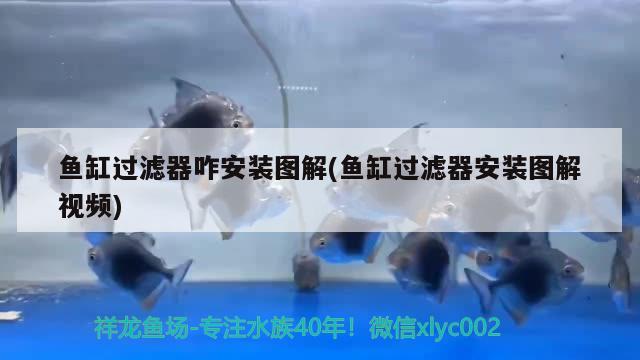 广州水族馆手机APP问题
