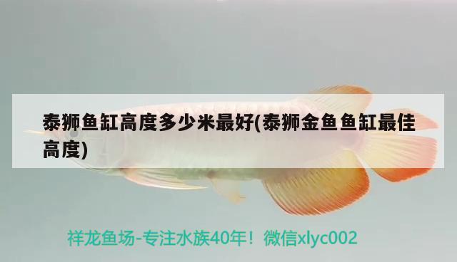 台湾惠弘行家首选的体内外寄的药有人用过么 泰国雪鲫鱼 第3张