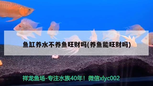 诏安县佳宝观赏鱼店 全国水族馆企业名录