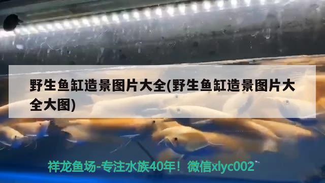 广州市荔湾区易生水族器材店 全国水族馆企业名录 第2张