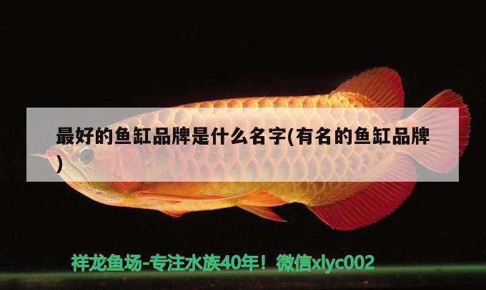 广州市荔湾区易生水族器材店 全国水族馆企业名录 第1张